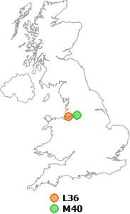 map showing distance between L36 and M40