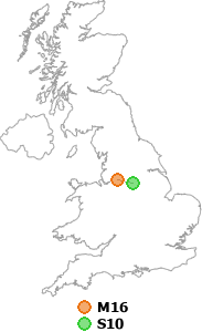 map showing distance between M16 and S10