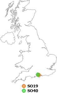 map showing distance between SO19 and SO40