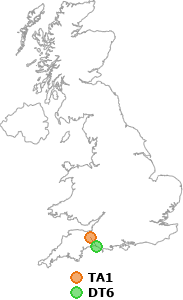 map showing distance between TA1 and DT6