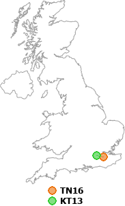 map showing distance between TN16 and KT13