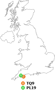 map showing distance between TQ9 and PL19