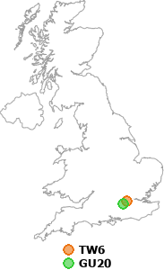 map showing distance between TW6 and GU20
