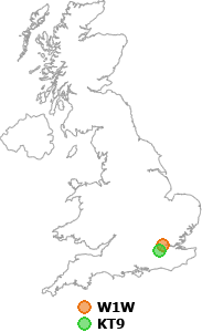 map showing distance between W1W and KT9
