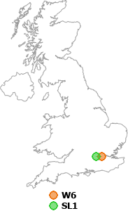 map showing distance between W6 and SL1